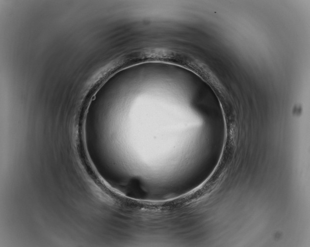 X0000101170725200807111051