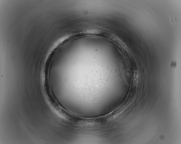 X0000101170726200807111051
