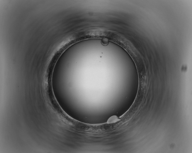 X0000101170727200807111051