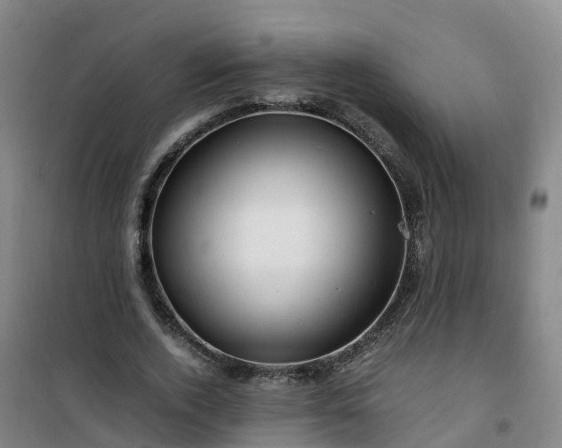 X0000101170728200807111051