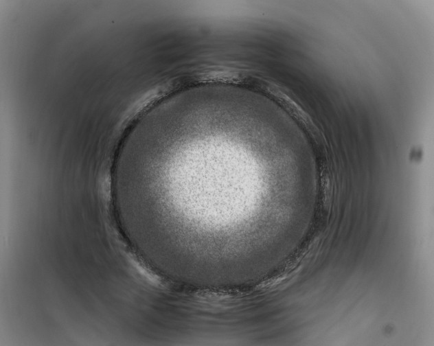 X0000101170729200807111051