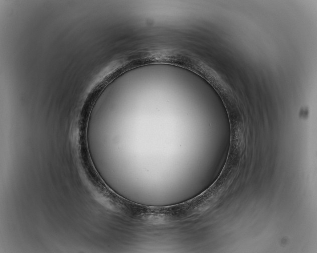 X0000101170730200807111051
