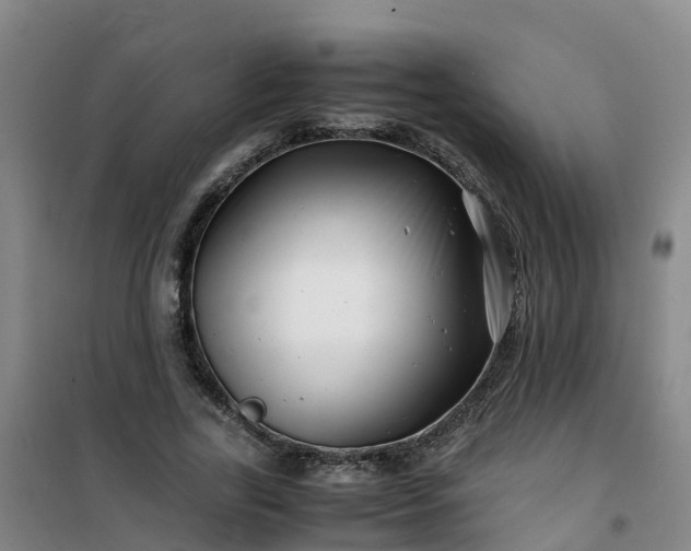 X0000101170731200807111051