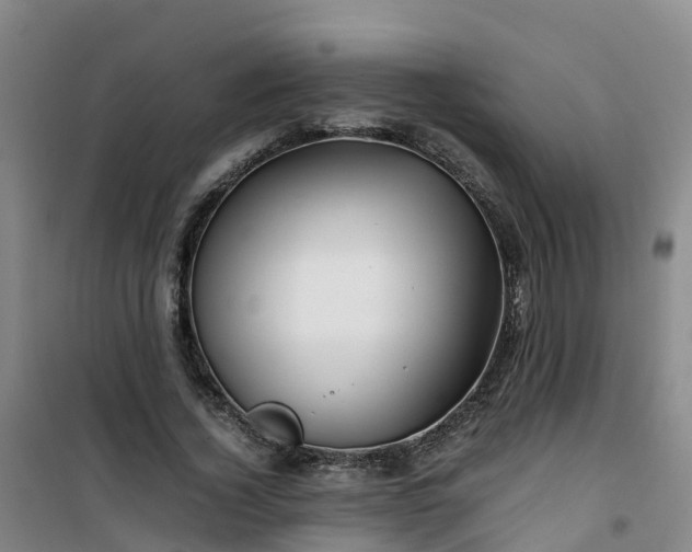 X0000101170732200807111051