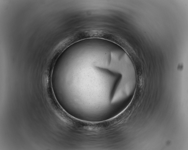 X0000101170733200807111051