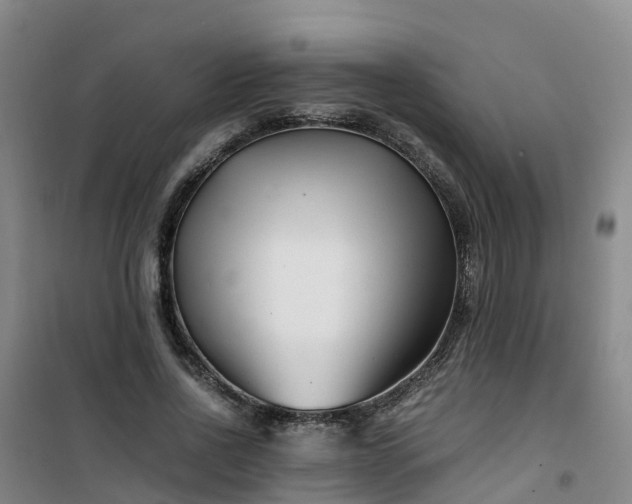 X0000101170734200807111051