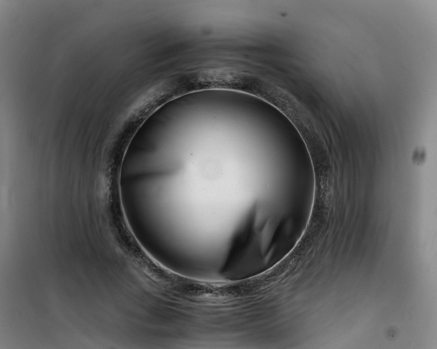 X0000101170735200807111051