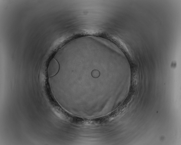 X0000101170736200807111051