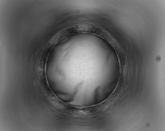 X0000101170737200807111051