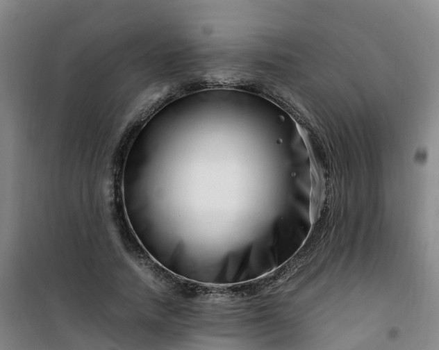 X0000101170738200807111051