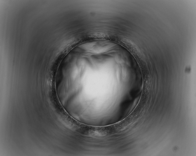X0000101170739200807111051