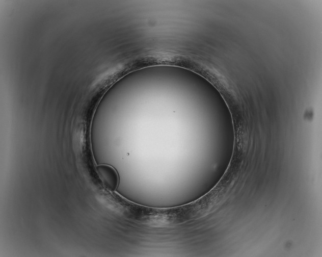 X0000101170740200807111051