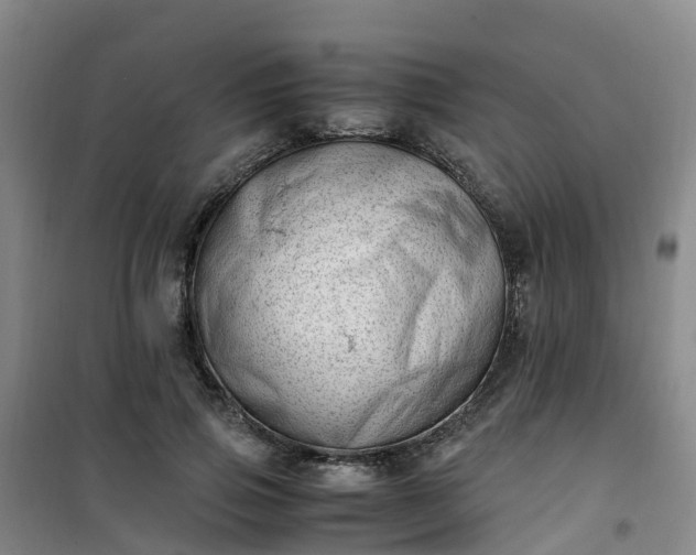 X0000101170741200807111051