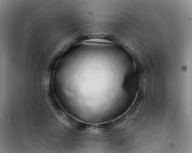 X0000101170742200807111051