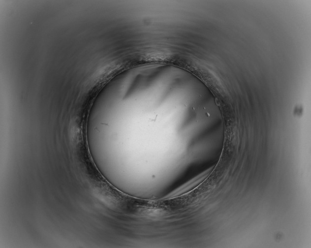 X0000101170743200807111051