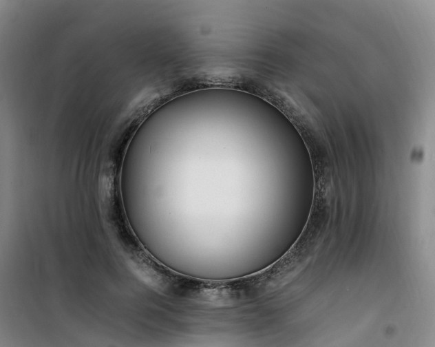 X0000101170744200807111051