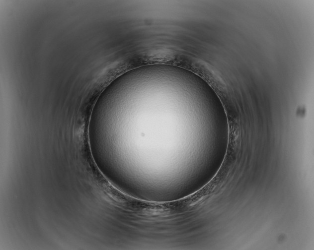 X0000101170745200807111051