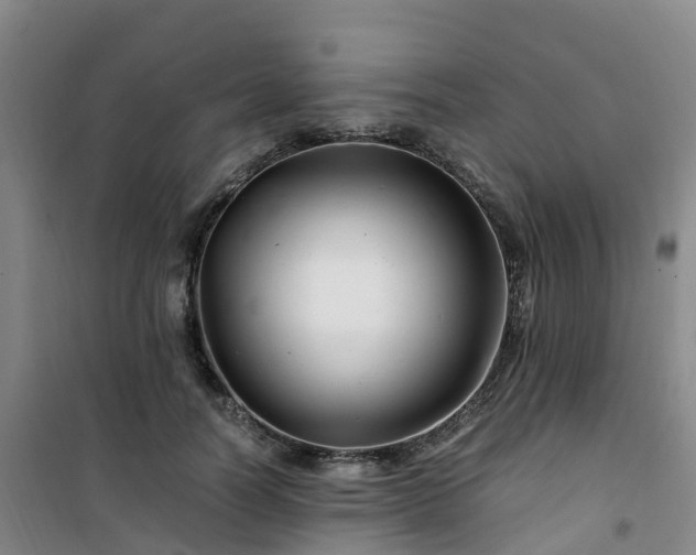 X0000101170746200807111051