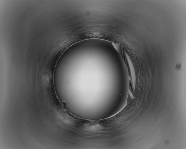 X0000101170747200807111051