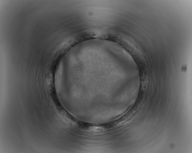 X0000101170748200807111051