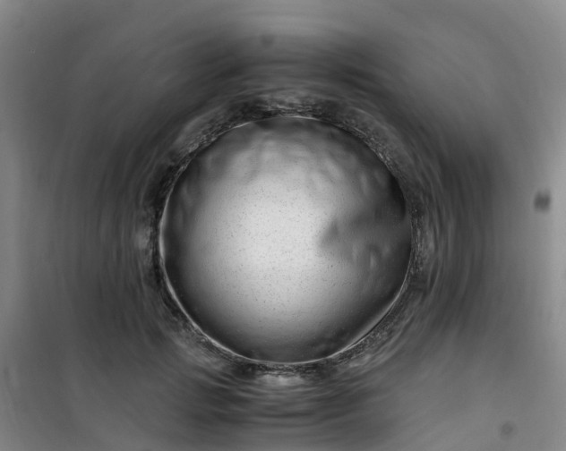 X0000101170749200807111051