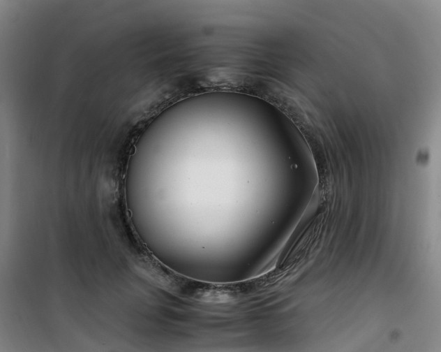 X0000101170751200807111051