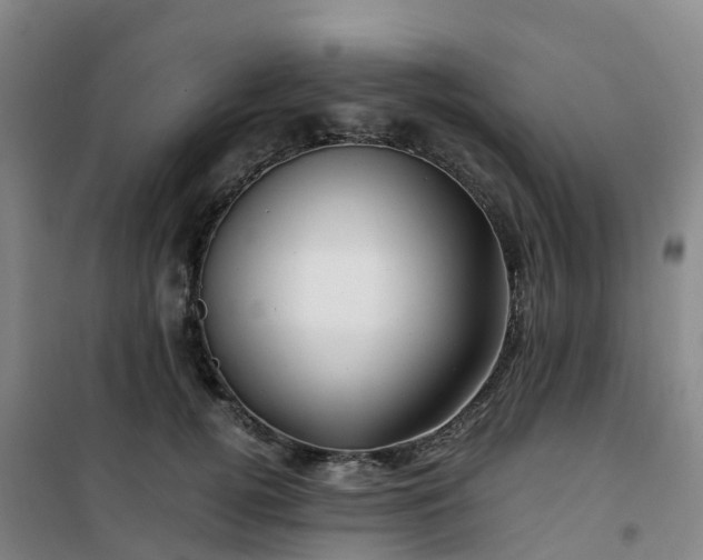 X0000101170752200807111051