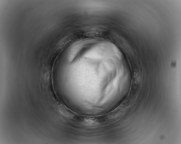 X0000101170753200807111051
