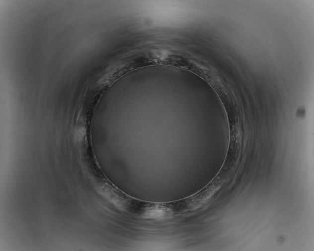 X0000101170754200807111051