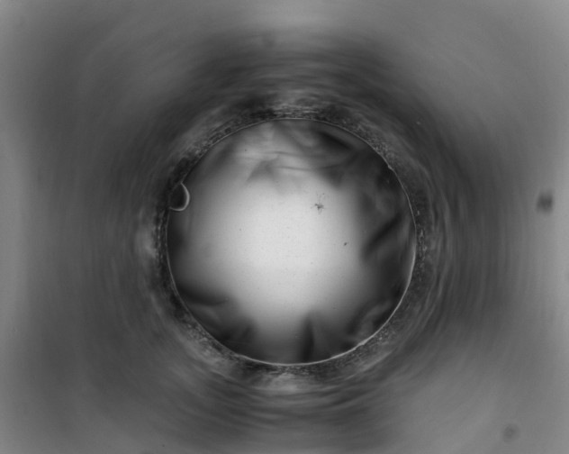 X0000101170755200807111051