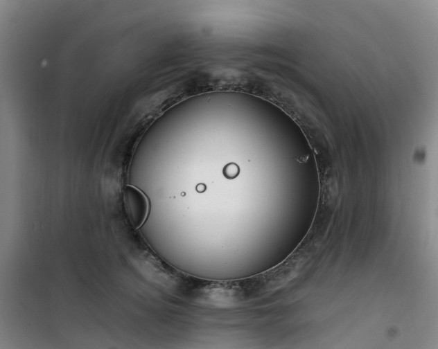X0000101170756200807111051