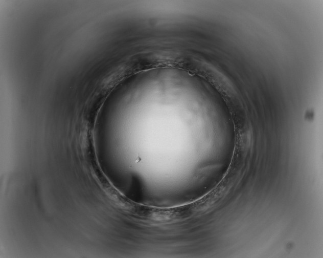 X0000101170757200807111051