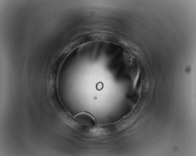 X0000101170759200807111052