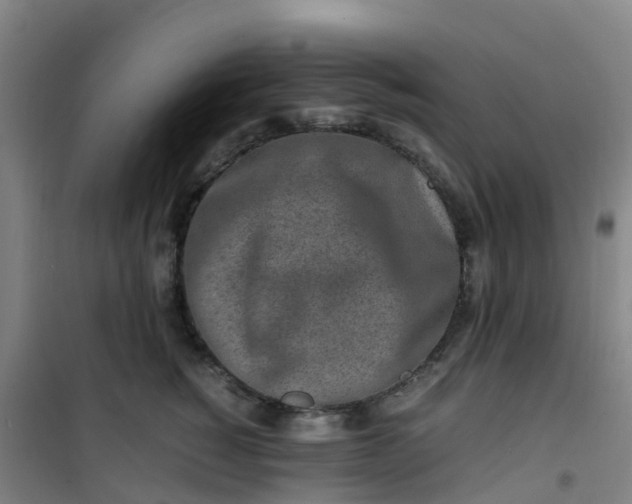 X0000101170760200807111052