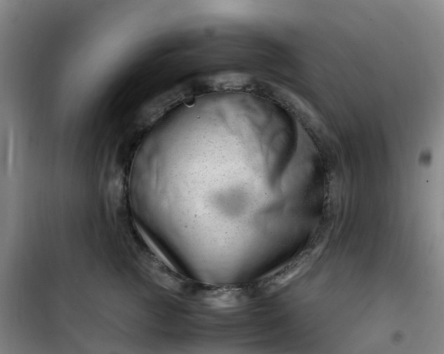 X0000101170761200807111052
