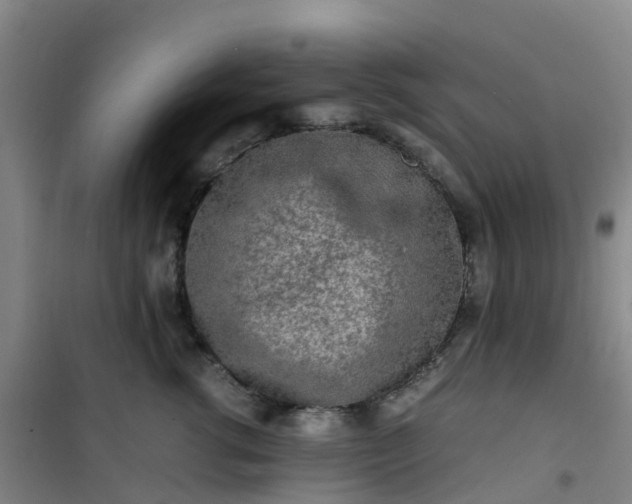 X0000101170762200807111052