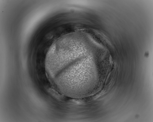 X0000101170763200807111052