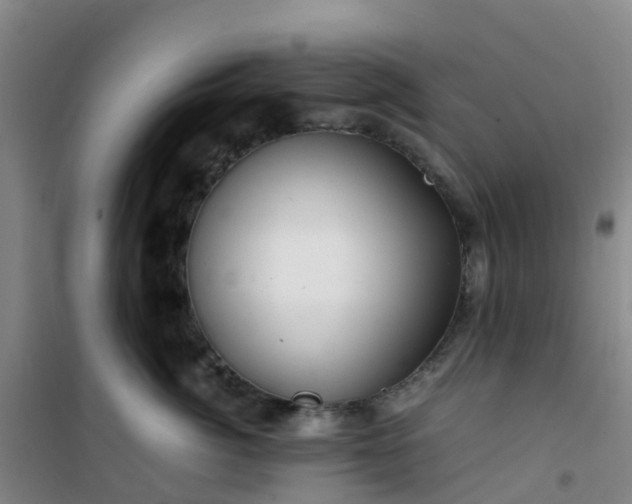 X0000101170764200807111052