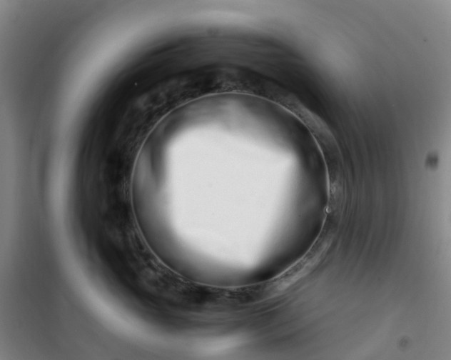 X0000101170765200807111052