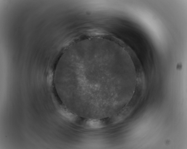 X0000101170767200807111052