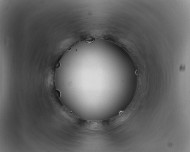 X0000101170768200807111052