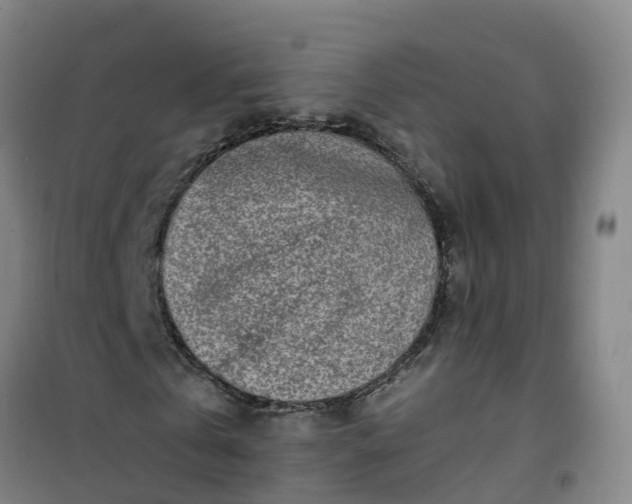 X0000101170769200807111051