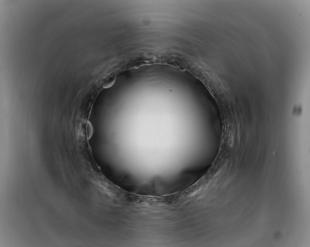 X0000101170770200807111051