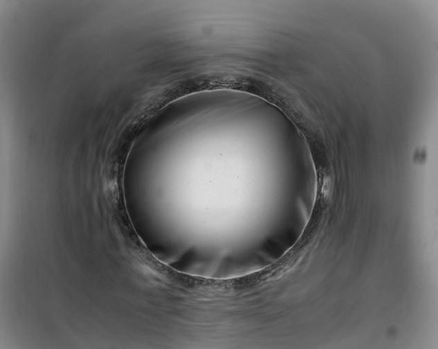 X0000101170771200807111051