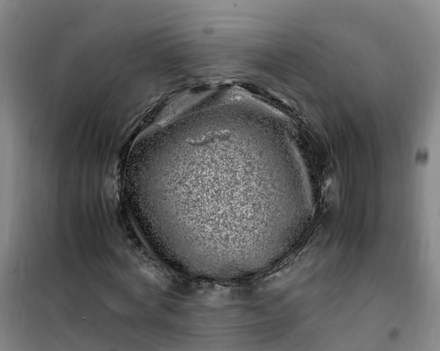 X0000101170772200807111051