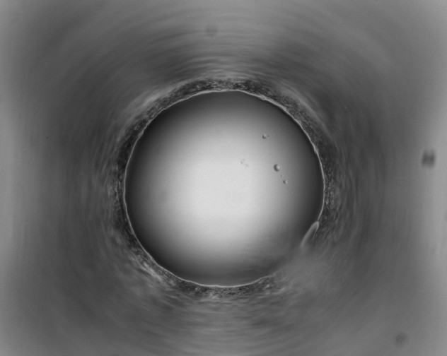 X0000101170773200807111051
