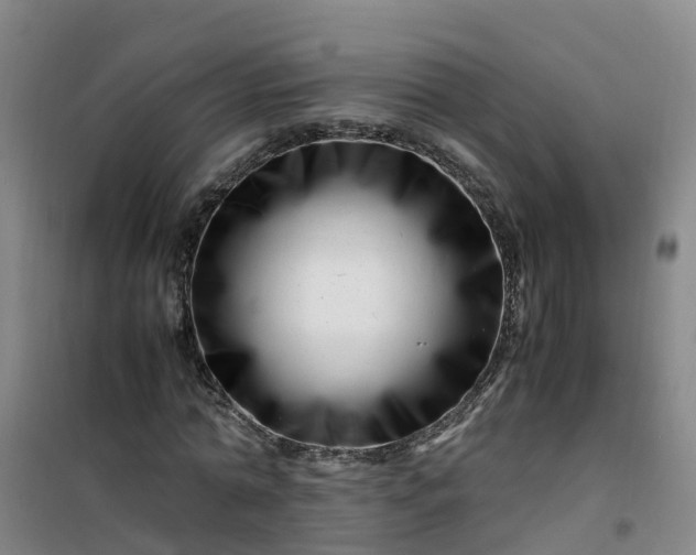 X0000101170774200807111051