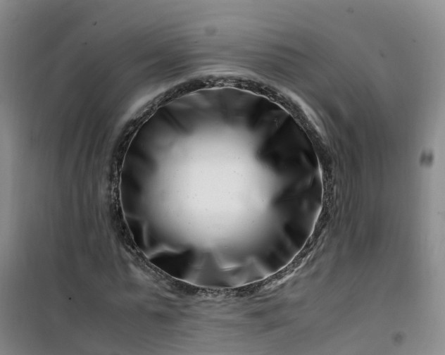 X0000101170775200807111051