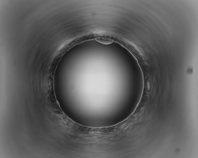 X0000101170776200807111051