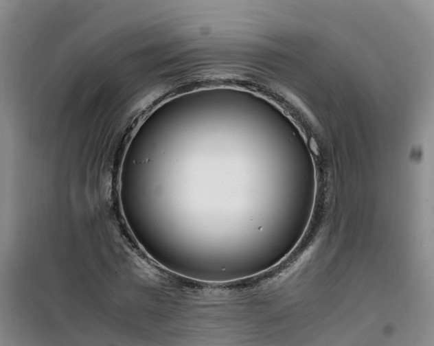 X0000101170777200807111051